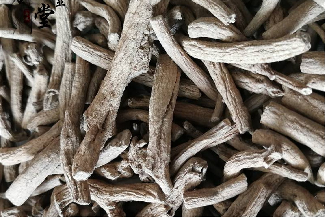 中药紫金牛图片