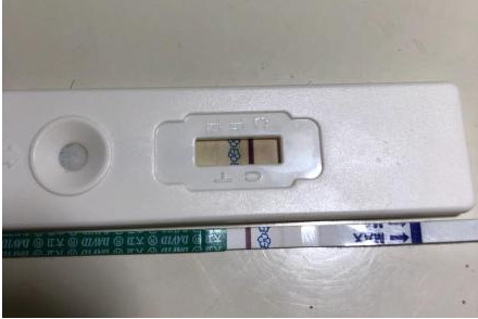 没怀孕的验孕棒图
