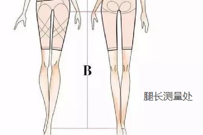 腿长测量图