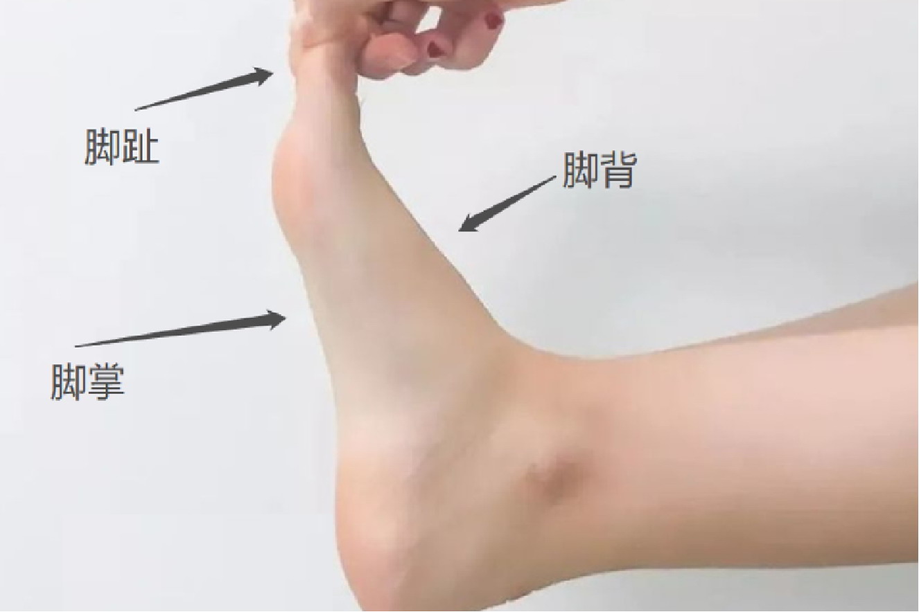 脚部位名称图