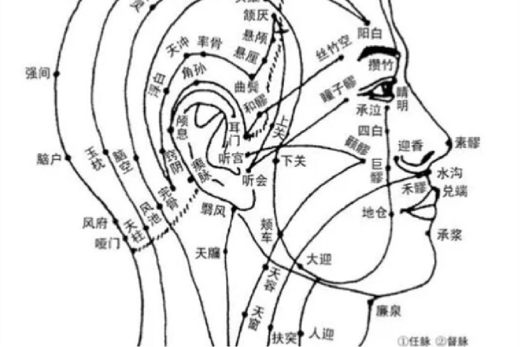 头部经络侧面