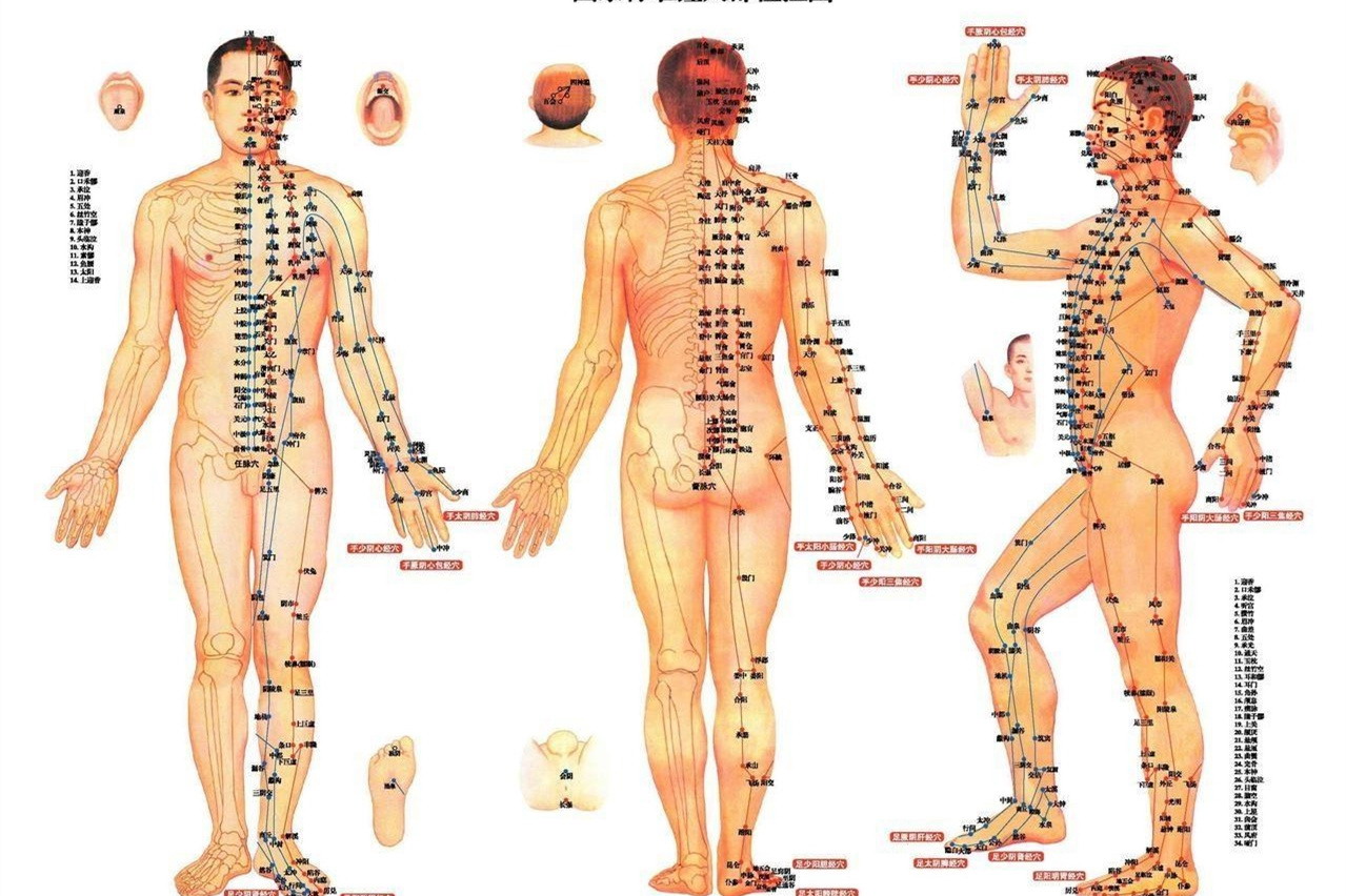 人体经络全图
