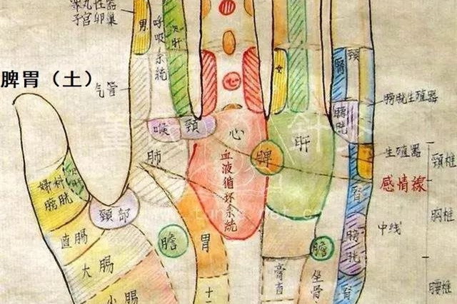 五官与五脏关系图片