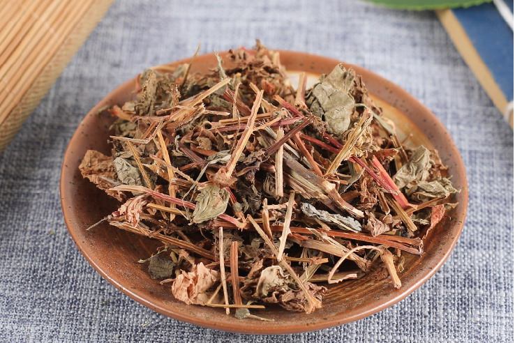 中药杠板归图片