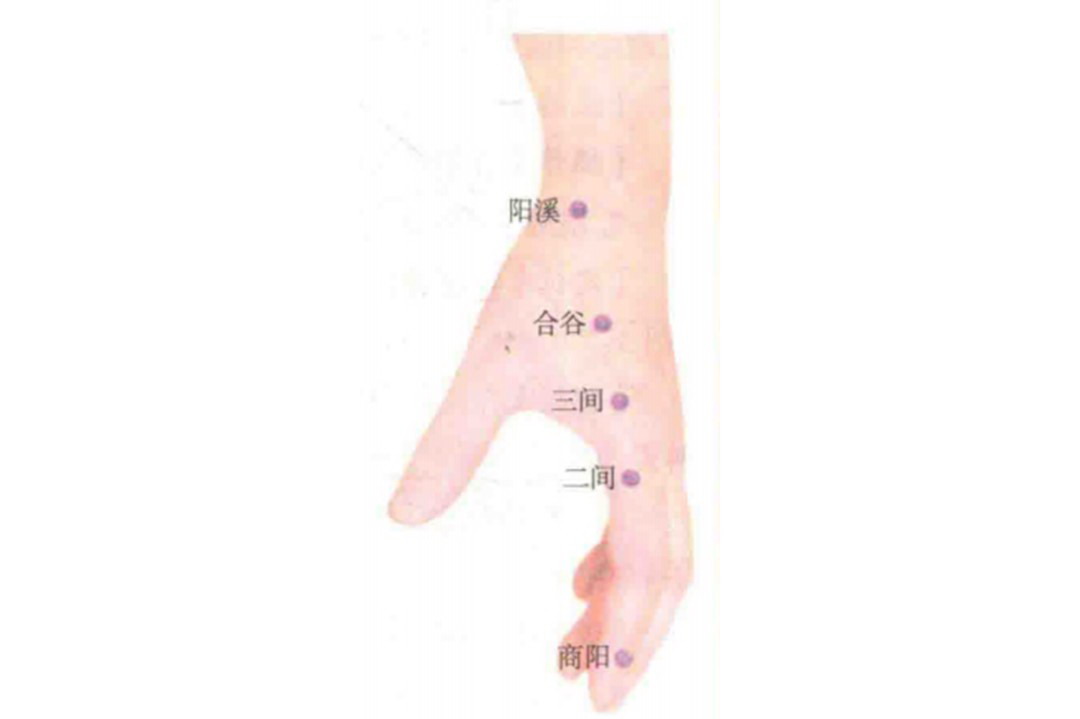 商阳穴图片