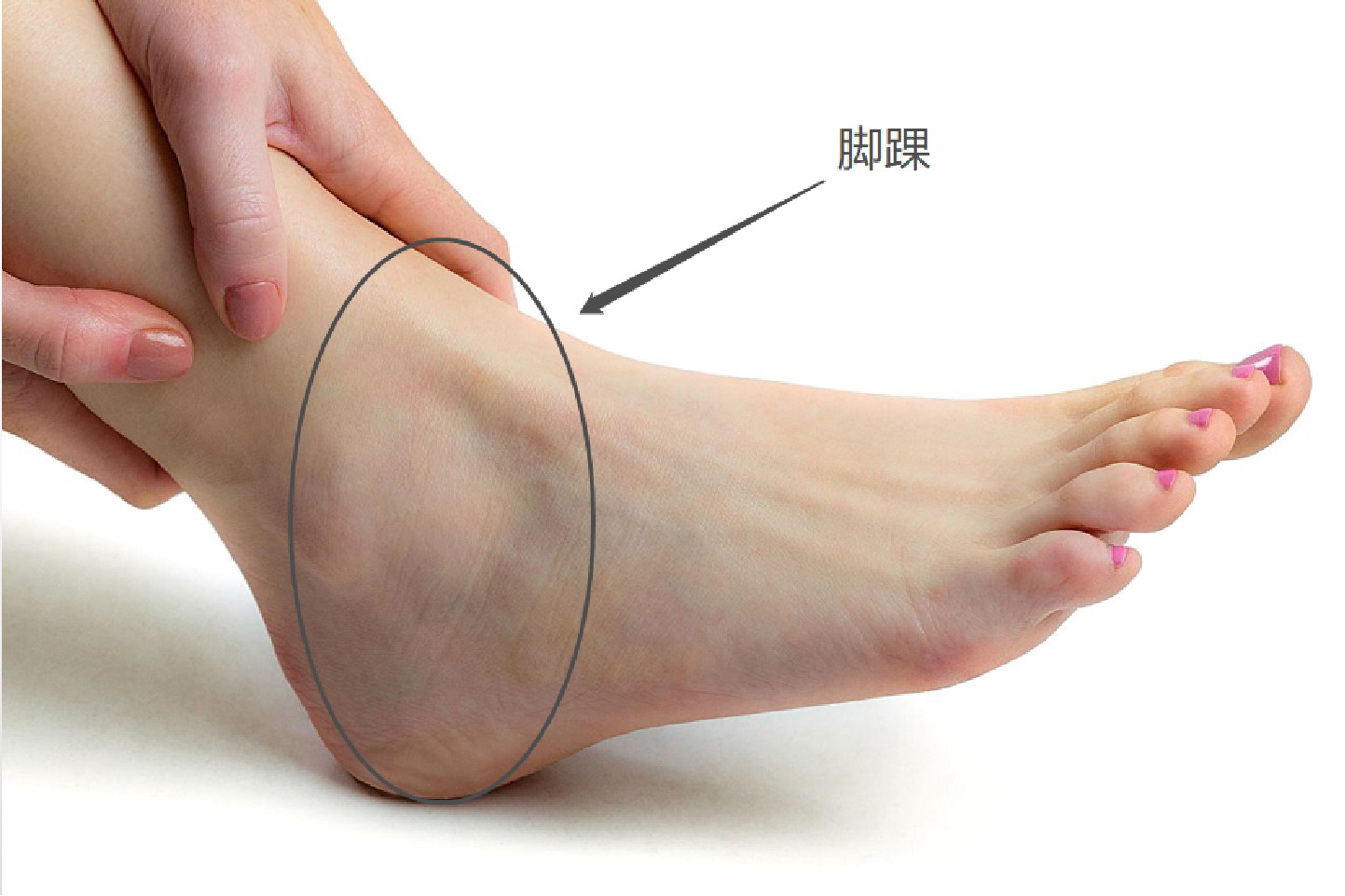 脚踝图