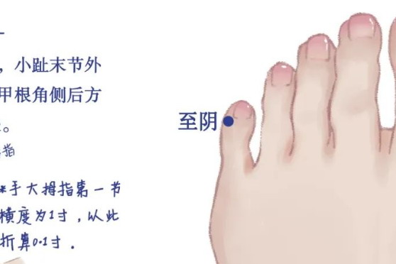 至阴穴位置图片