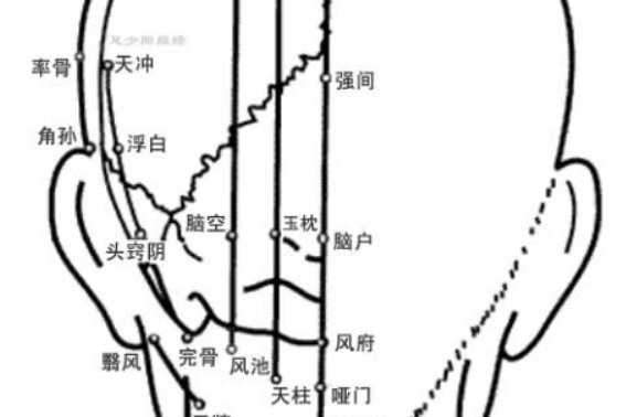 头部经络背面