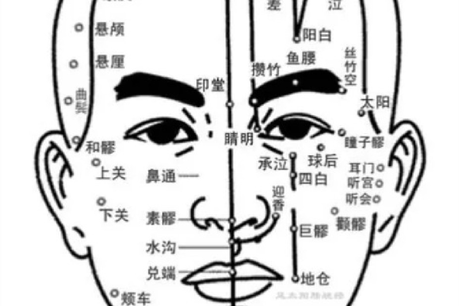 头部经络正面