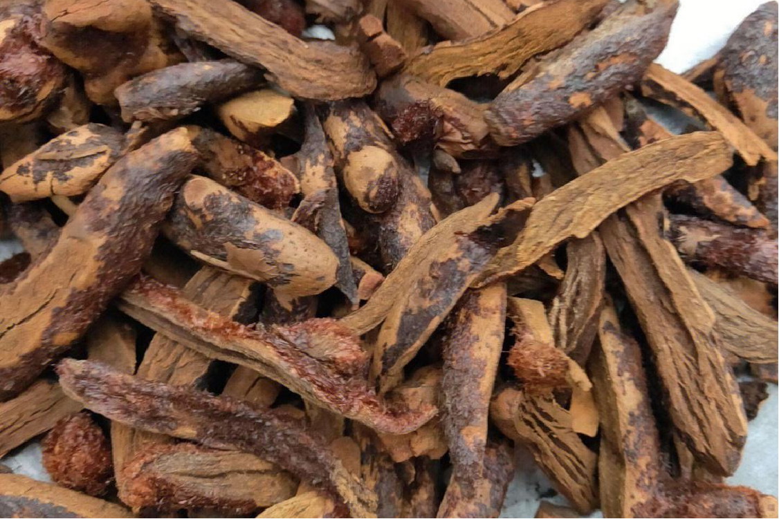 中药骨碎补图片