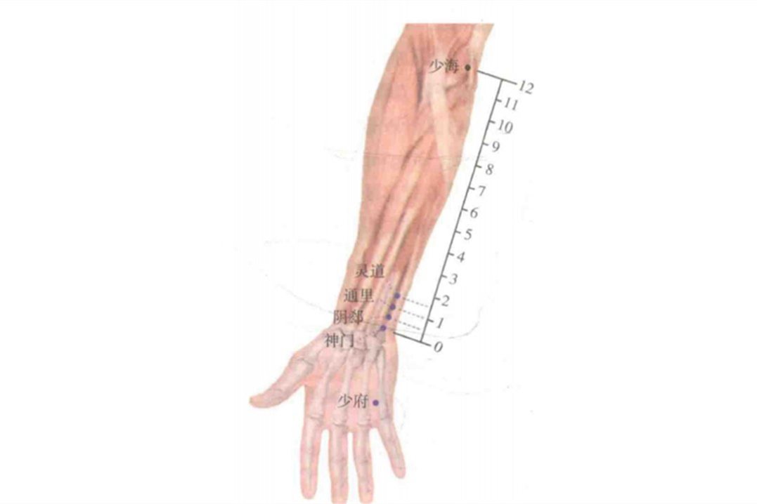 少府穴图片
