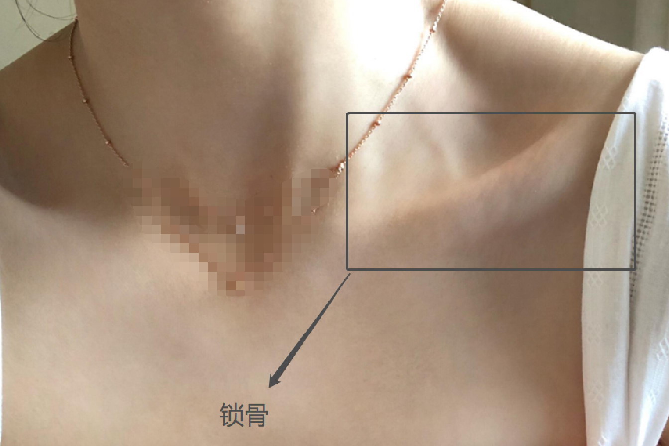 女性锁骨位置图