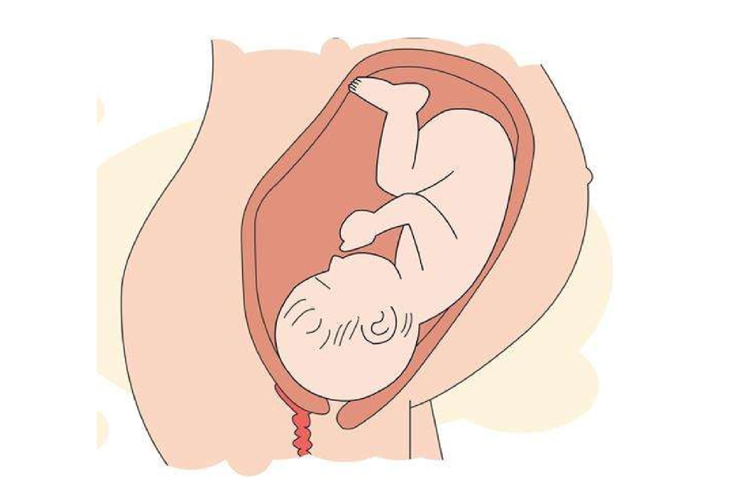 怀孕37周胎儿入盆图