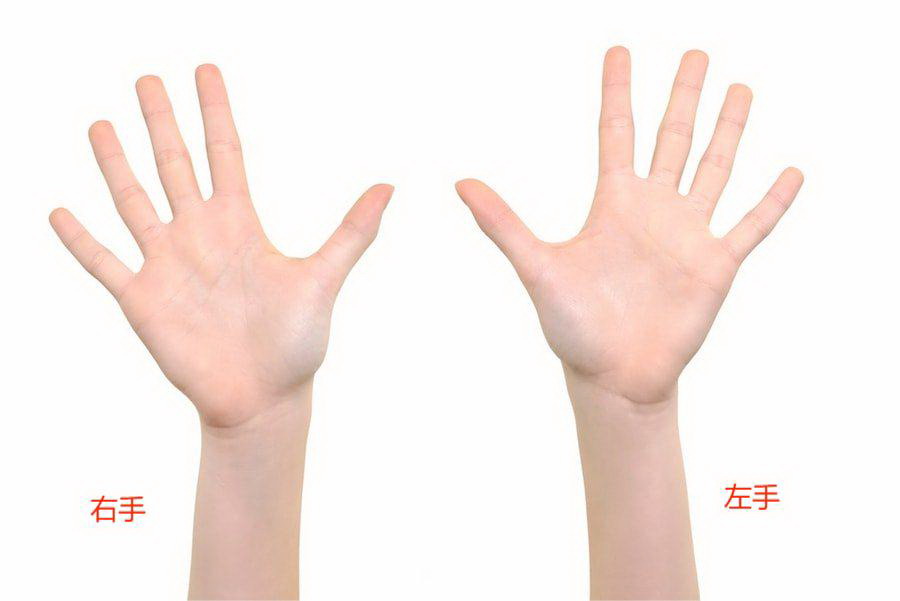 左右手图片